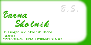 barna skolnik business card